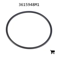 AGCO 3615948M1 Комплект уплотнений гидравлического фильтра