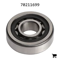 AGCO 70211699 Обойма