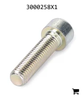 AGCO 3000258X1 Болт с внутренним шестигранником