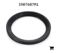 AGCO 3907607M1 Прокладка