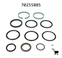 AGCO 70255805 Комплект сальников
