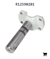 AGCO R12590201 Палец колеса