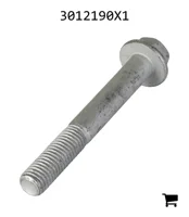 AGCO 3012190X1 Болт с шестигранной головкой и фланцем