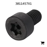 AGCO 3011457X1 Винт с потайной головкой
