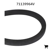 AGCO 71139964V Ремень