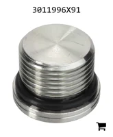 AGCO 3011996X91 Заглушка