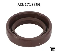 AGCO ACW1718350 Комплект сальников гидромотора