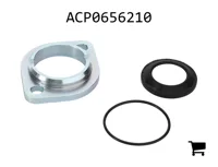 AGCO ACP0656210 Комплект пластин