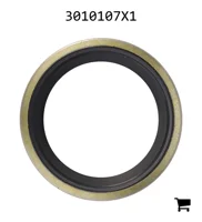 AGCO 3010107X1 Уплотнительное кольцо скребка