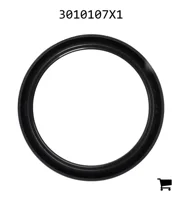 AGCO 3010107X1 Уплотнительное кольцо скребка