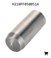AGCO H218PF050051A Палец цилиндра