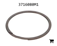 AGCO 3716080M1 Кольцо