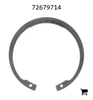 AGCO 72679714 Стопорная шайба