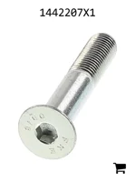 AGCO 1442207X1 Винт с цилиндрической головкой и шестигранным углублением