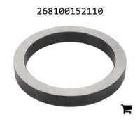 AGCO 268100152110 Кольцо