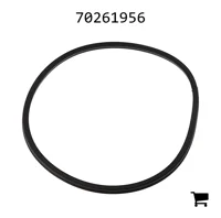 AGCO 70261956 Прокладка