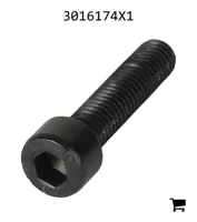 AGCO 3016174X1 Винт с цилиндрической головкой и шестигранным углублением