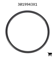 AGCO 3019943X1 Уплотнительное кольцо Ø 47,29 x 2,62 мм
