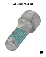 AGCO ACW4076430 Винт с цилиндрической головкой и шестигранным углублением