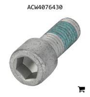 AGCO ACW4076430 Винт с цилиндрической головкой и шестигранным углублением