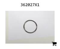 AGCO 362027X1 Шайба