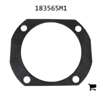 AGCO 183565M1 Шайба