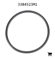 AGCO 3384523M1 Уплотнительное кольцо, Ø 63,09 x 3,53 мм