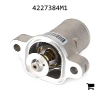 AGCO 4227384M1 Термостат в сборе