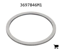 AGCO 3697846M1 Шайба