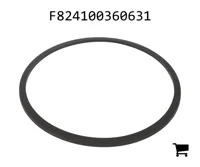 AGCO F824100360631 Уплотнительная шайба