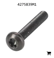 AGCO 4275839M1 Винт