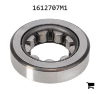 AGCO 1612707M1 Цилиндрический роликовый радиальный подшипник