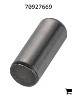 AGCO 70927669 Палец