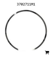 AGCO 3702711M1 Регулировочная шайба