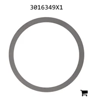 AGCO 3016349X1 Регулировочная шайба