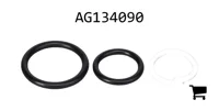 AGCO AG134090 Ремкомплект
