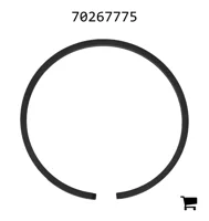 AGCO 70267775 Уплотнительное кольцо