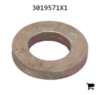 AGCO 3019571X1 Плоская шайба