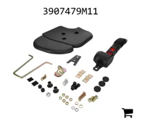 AGCO 3907479M11 Код доступа