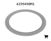 AGCO 4299490M1 Упорная шайба