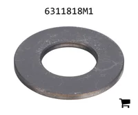 AGCO 6311818M1 Шайба