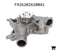 AGCO F926202610041 Водяной насос