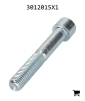 AGCO 3012015X1 Винт с цилиндрической головкой и шестигранным углублением
