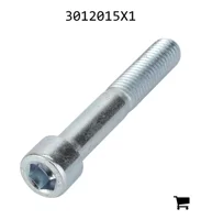 AGCO 3012015X1 Винт с цилиндрической головкой и шестигранным углублением