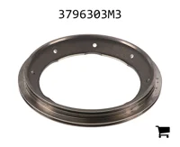 AGCO 3796303M3 Поршень