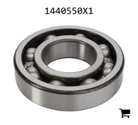 AGCO 1440550X1 Подшипник 6313