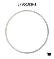 AGCO 3795181M1 Шайба