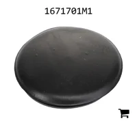 AGCO 1671701M1 Заглушка