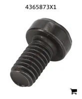 AGCO 4365873X1 Винт с потайной головкой