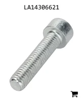 AGCO LA14306621 Винт с шестигранной головкой